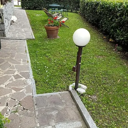 Garni Bonsai